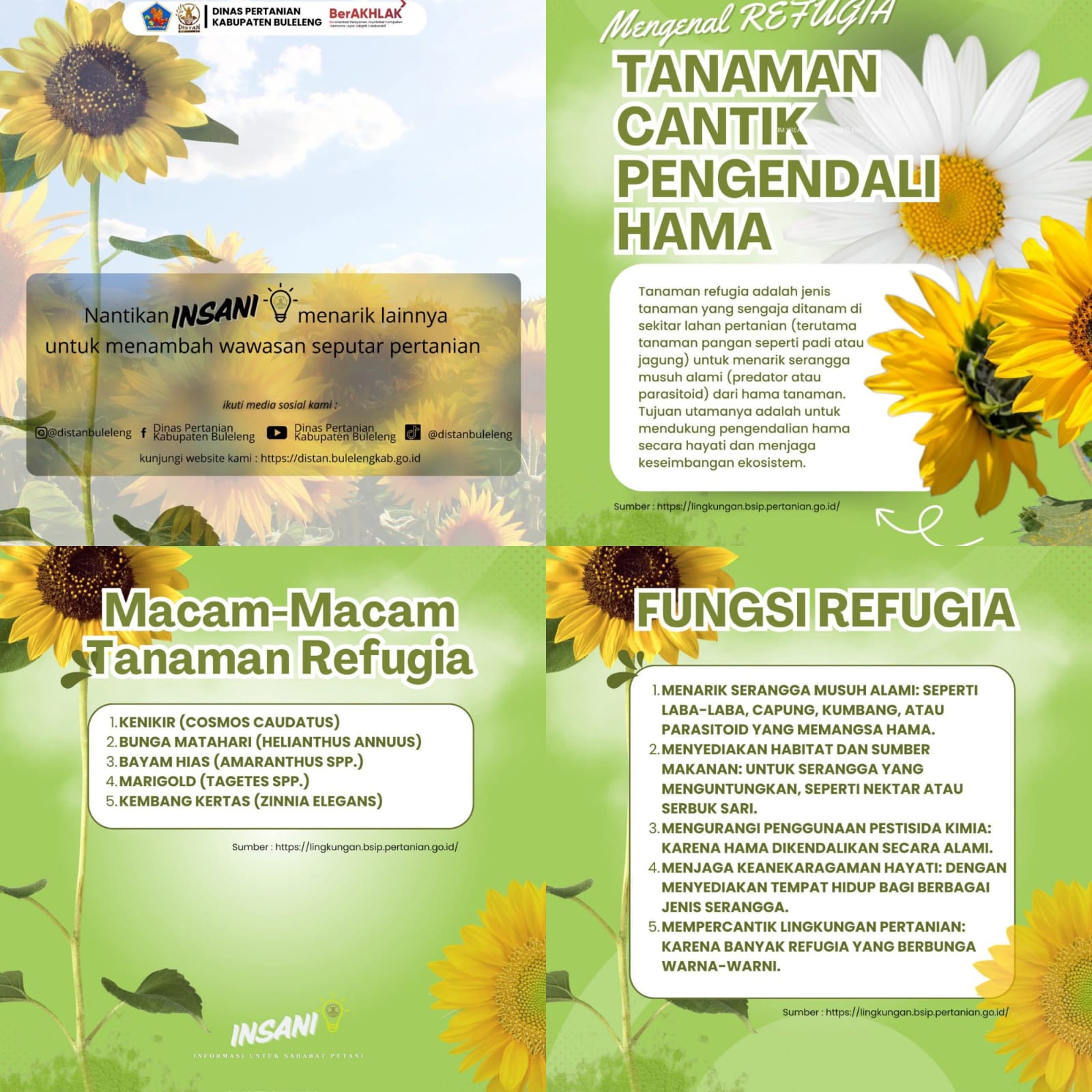 MENGENAL REFUGIA
