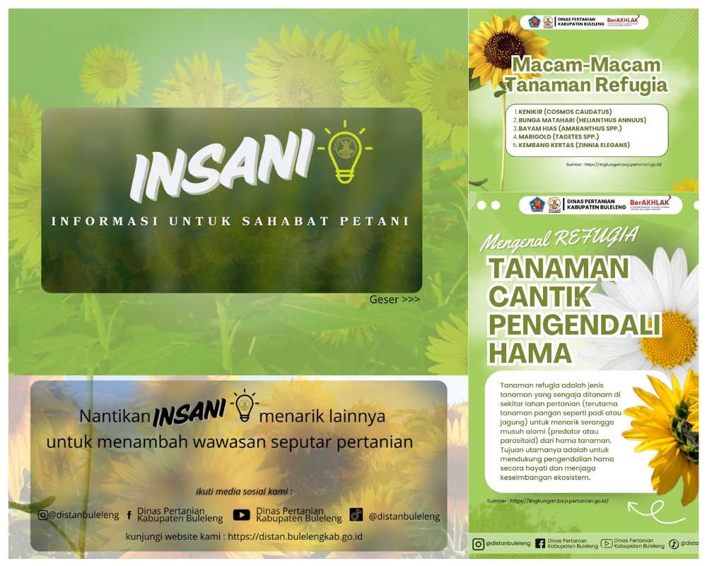 TANAMAN CANTI PENGENDALI HAMA